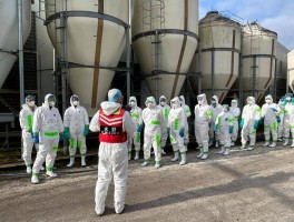 【本土高致病性禽流感病例,高致病性禽流感疫情】