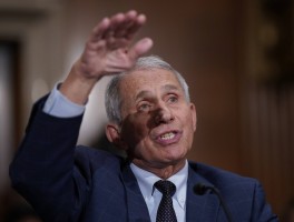 美国28日新增确诊数据.美国28日新增病例？