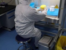 彭埠肺炎疫情最新数据/彭埠肺炎疫情最新数据消息