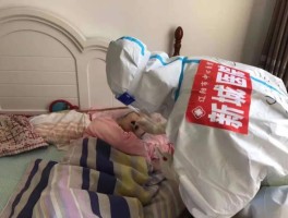 【辽阳本土新增疫情病例,辽阳今日新增病例详情】