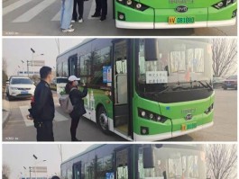 杨陵最新疫情数据图表查询(杨陵最新疫情数据图表查询大全)