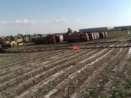 【白城市通榆新增确诊数量,吉林白城通榆地图】