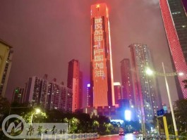 武汉疫情期间火化数据(武汉疫情火化骨灰到哪里去了)