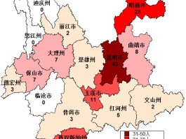 【丰台疫情确诊病例详情表,丰台疫情确诊病例详情表查询】