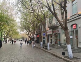 哈尔滨疫情监测数据/哈尔滨疫情统计