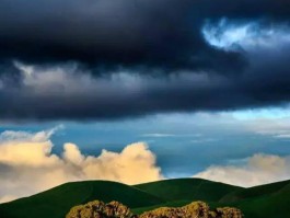 全德新增确诊病例.全德报百度百科？