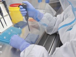 陕西新增本土确诊17例.陕西新增本土确诊17例是哪里的？