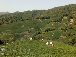 安徽凤台县疫情确诊多少/安徽凤台有没有新型肺炎