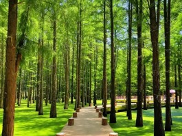 印度最新疫情情况数据图.印度最新疫情最新动态？