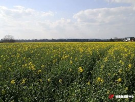 皇图岭疫情确诊人员轨迹(皇图岭好吃的饭店)