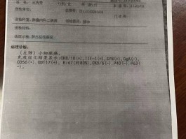 31省区市53例确诊(31个省市确诊病例)