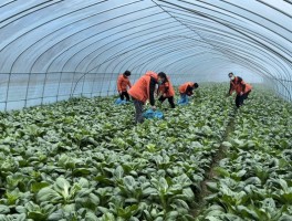 【崇明疫情新数据消息,崇明疫情最新消息今天】