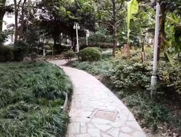 嘉定新城新增一例确诊(嘉定新城新增一例确诊病例)