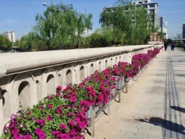 迎泽区本土病例最新消息(迎泽发布)