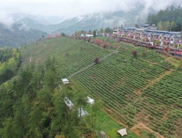 【陕西紫阳县新增确诊数,陕西紫阳县新冠疫情】