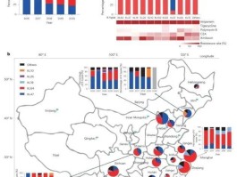 疫情7数据消息全球.全球疫情数据集？