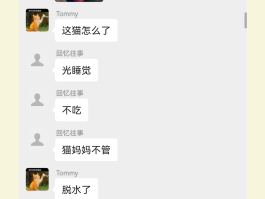 【合肥猫瘟疫情最新数据,合肥猫吧百度贴吧】