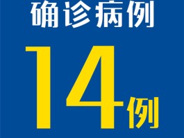 【增加10例本地确诊病例,增加10例本地确诊病例什么意思】