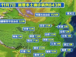 新冠疫情本土病例查询表/新冠疫情本土病历