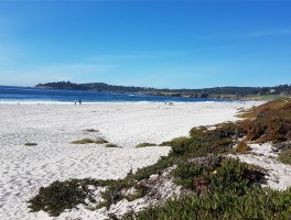 【加州旧金山今日疫情数据,加州旧金山天气预报15天查询】