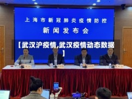 全国疫情最新数据武/全国疫情最新数据武汉新闻