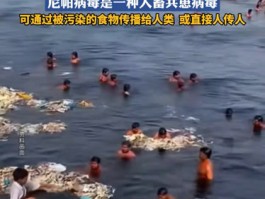 印度当日新增确诊人数/印度单日新增确诊超41万例破纪录