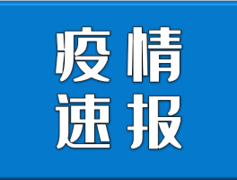 【重庆新增51例确诊病例,重庆新增确诊病例今天】