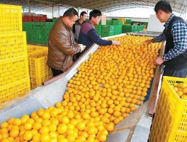 【疫情最新报告数据仁化,仁化县防疫站询问电话】