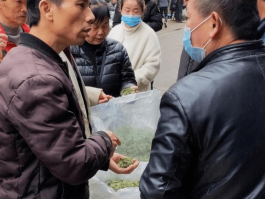 【祁门确诊今日新增病例多少,祁门县疫情通告】