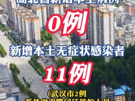 20号全国新增本土病例.20号全国新增本土病例多少？