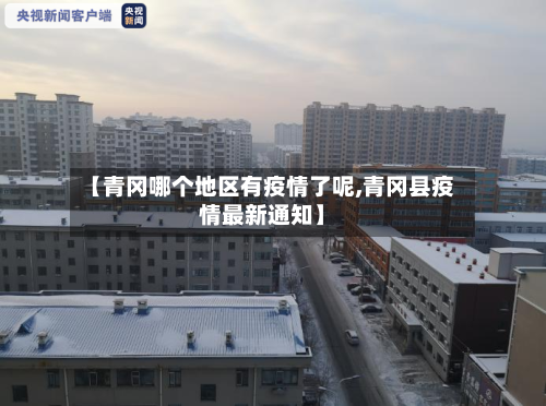 这次疫情哪个地区最严重(疫情哪个城市最严重?)