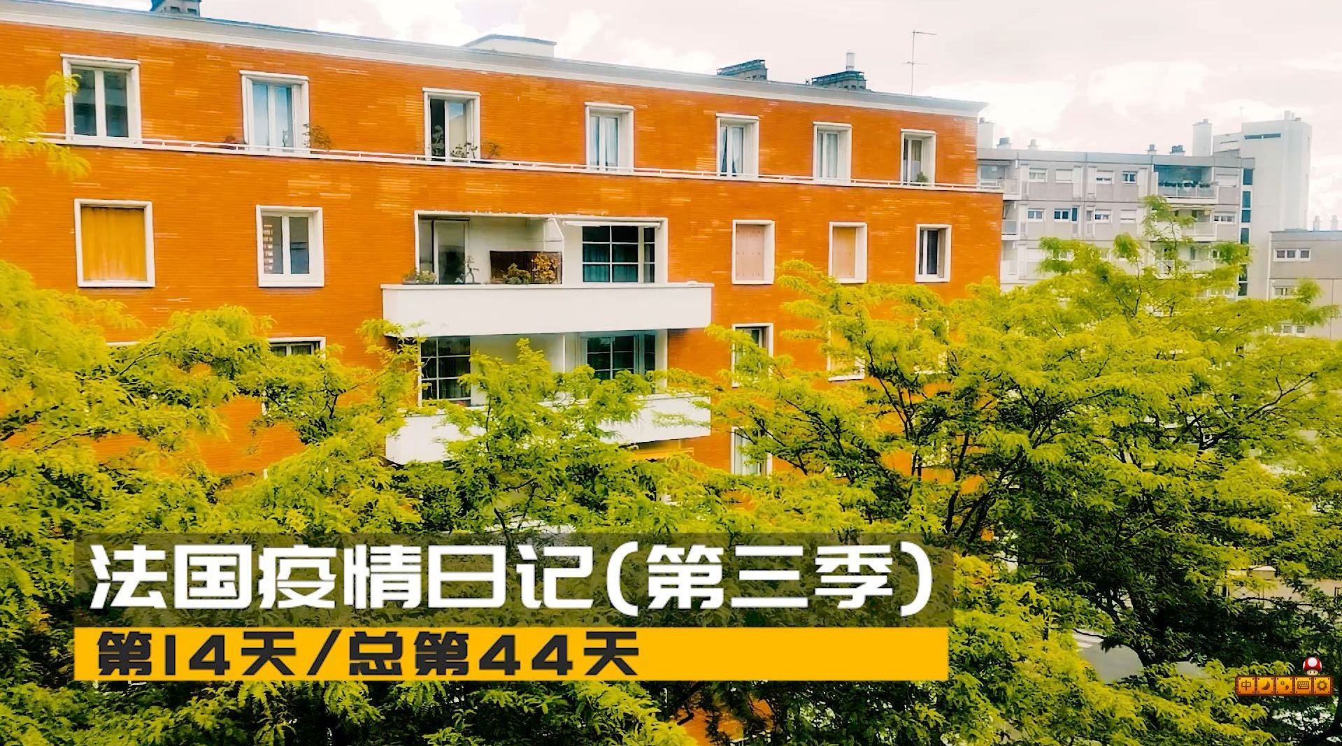 【查询14天地区疫情,查看近14天的疫情数据】-第3张图片