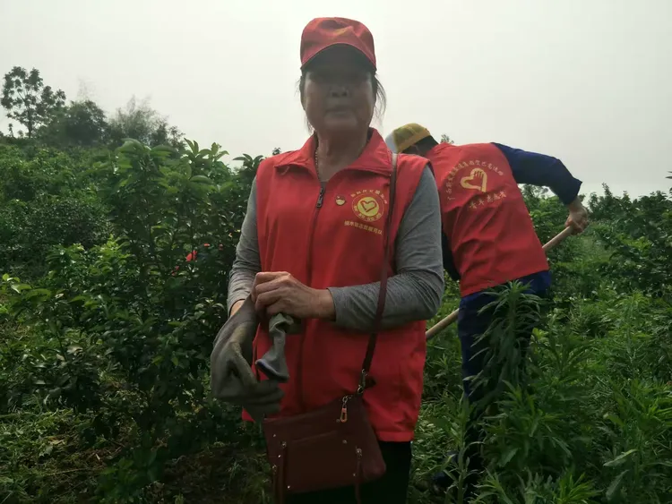 金秀桐木疫情实时数据的简单介绍-第2张图片