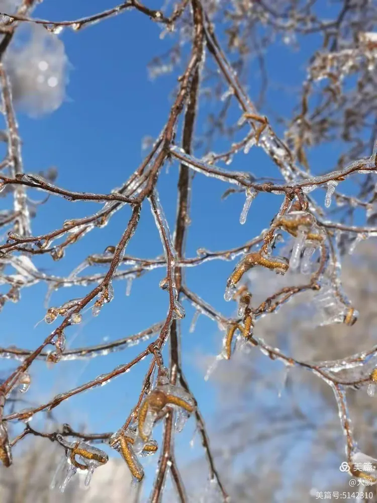 【玉树昨日无本土新增确诊,玉树新消息】-第2张图片