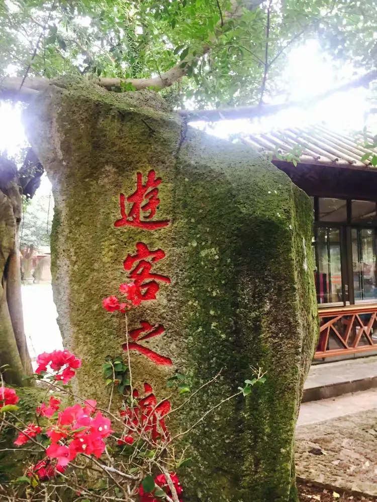 海口有本土病例报告吗.海口有本土病例报告吗今天？-第1张图片