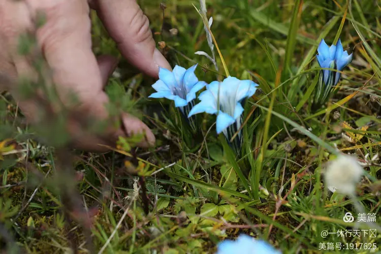 巴青县疫情确诊病例/巴青县宣传片-第1张图片