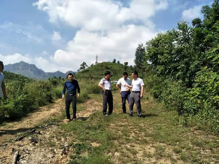 五莲疫情确诊行动轨迹.五莲疫情确诊行动轨迹公布？-第1张图片